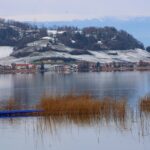 lake murten, lake morat, switzerland-7731937.jpg